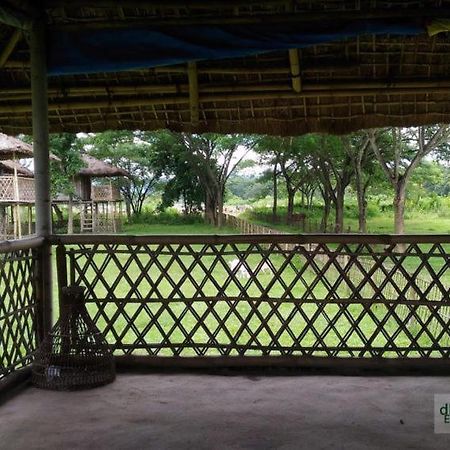 Dhansiri Eco Camp Bokakhat Exterior photo